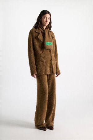 610806 794 PORCINI
