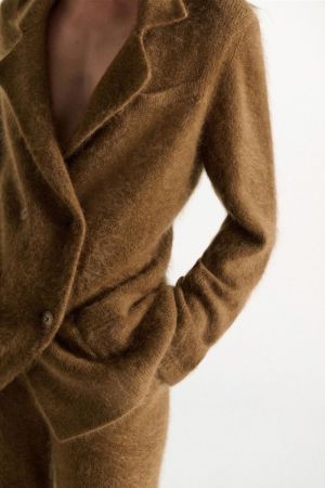 610801 794 PORCINI