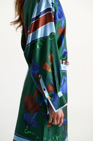 647306 016 COLORFUL RI