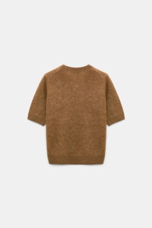 610805 794 PORCINI