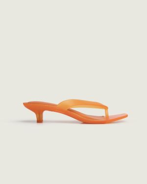  HOT ORANGE