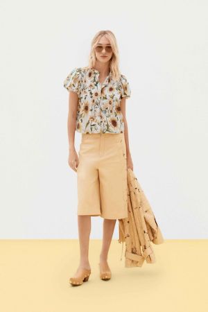 372568 SUNFLOWERS LIGH