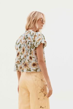 372568 SUNFLOWERS LIGH