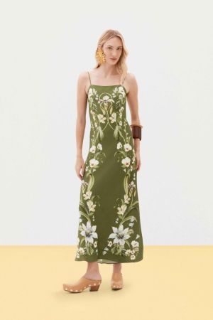 379965 BOTANIC GARDEN 