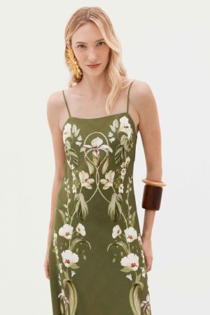 379965 BOTANIC GARDEN 