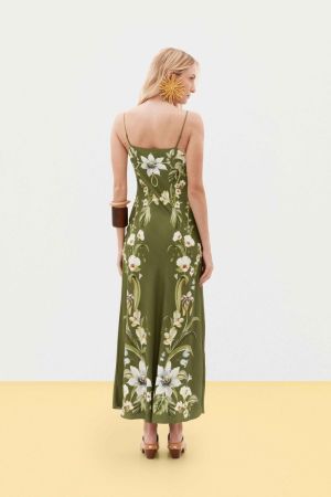 379965 BOTANIC GARDEN 