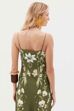 379965 BOTANIC GARDEN 